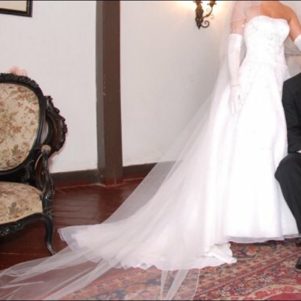 Make me an offerOleg Cassini Wedding dress Size 4 - Picture 7 of 8